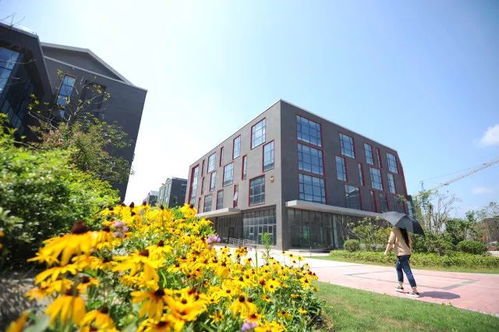 梅开春光烂漫，聚能引领未来——鼓楼云创科技园软件外包服务