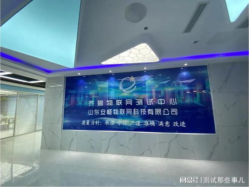 软件测试工作流程与外包服务管理