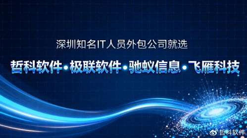 深圳知名IT人员外包公司为何能持续领跑市场
